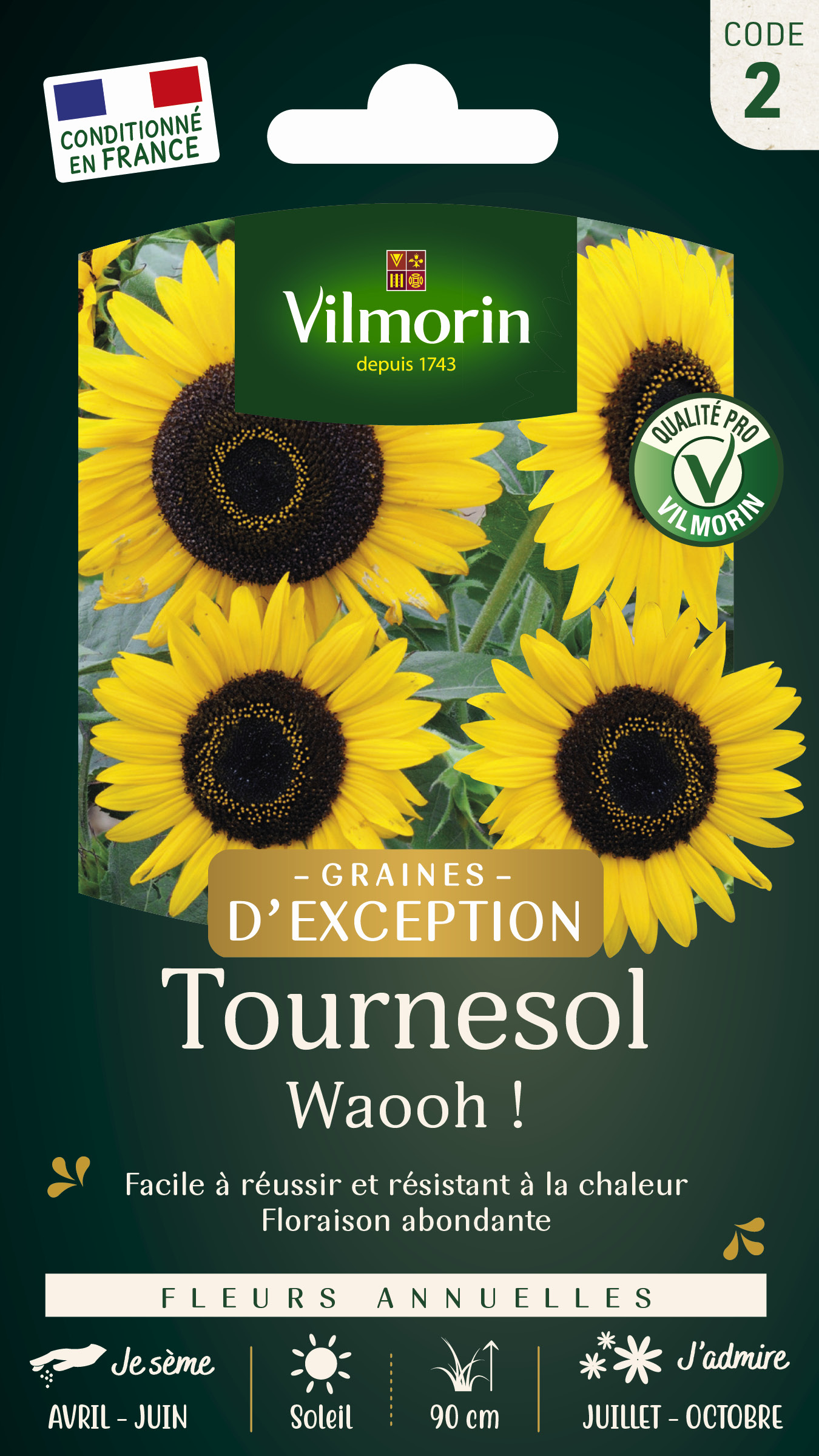 Jaune · Marron
