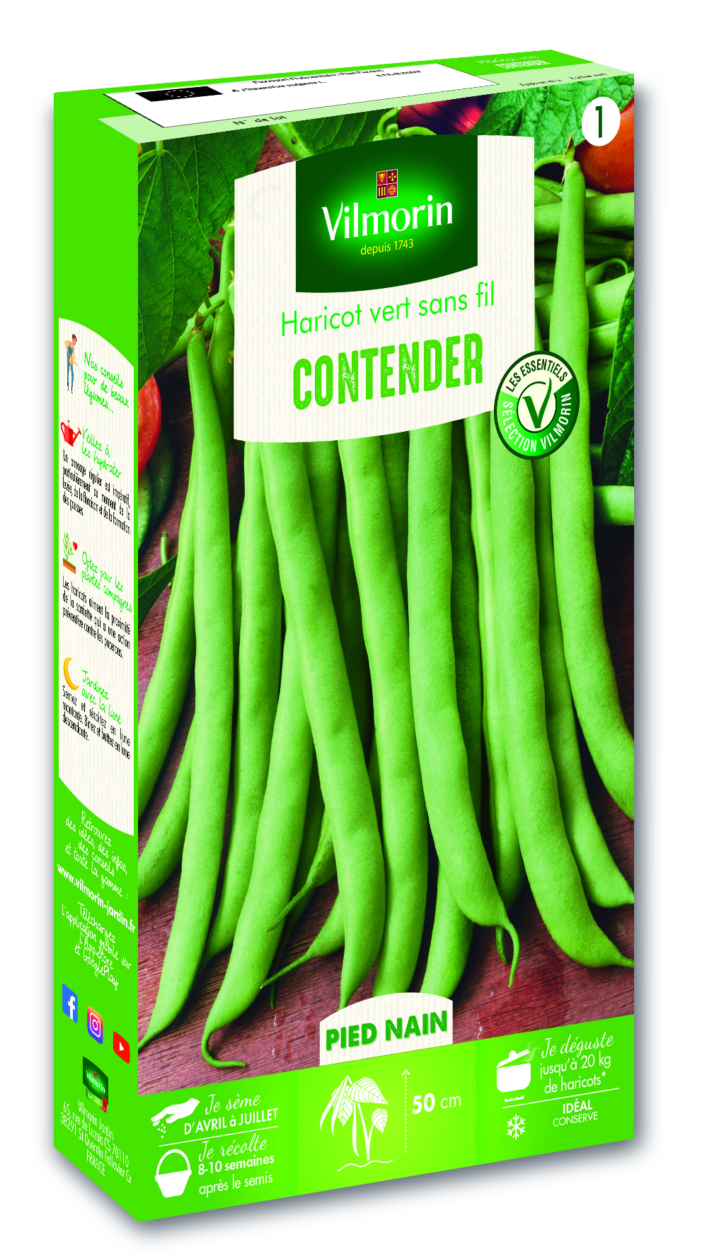 Vert