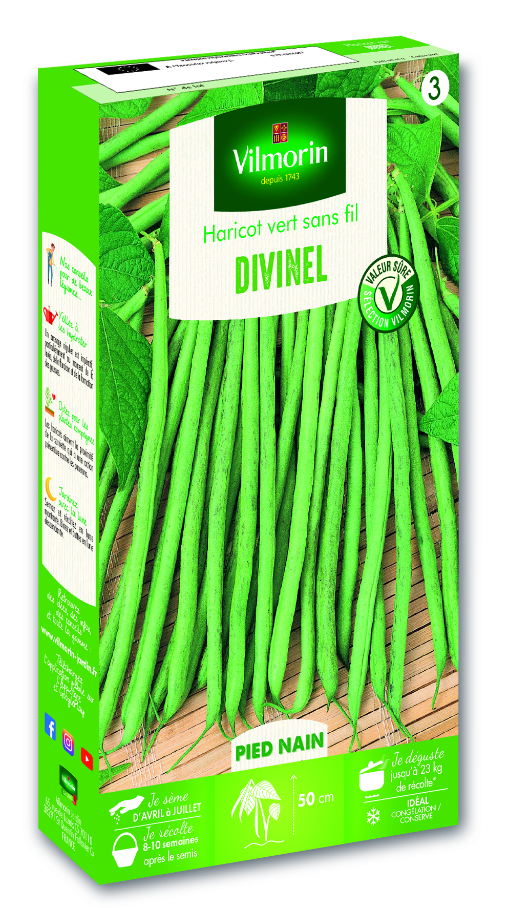 Vert