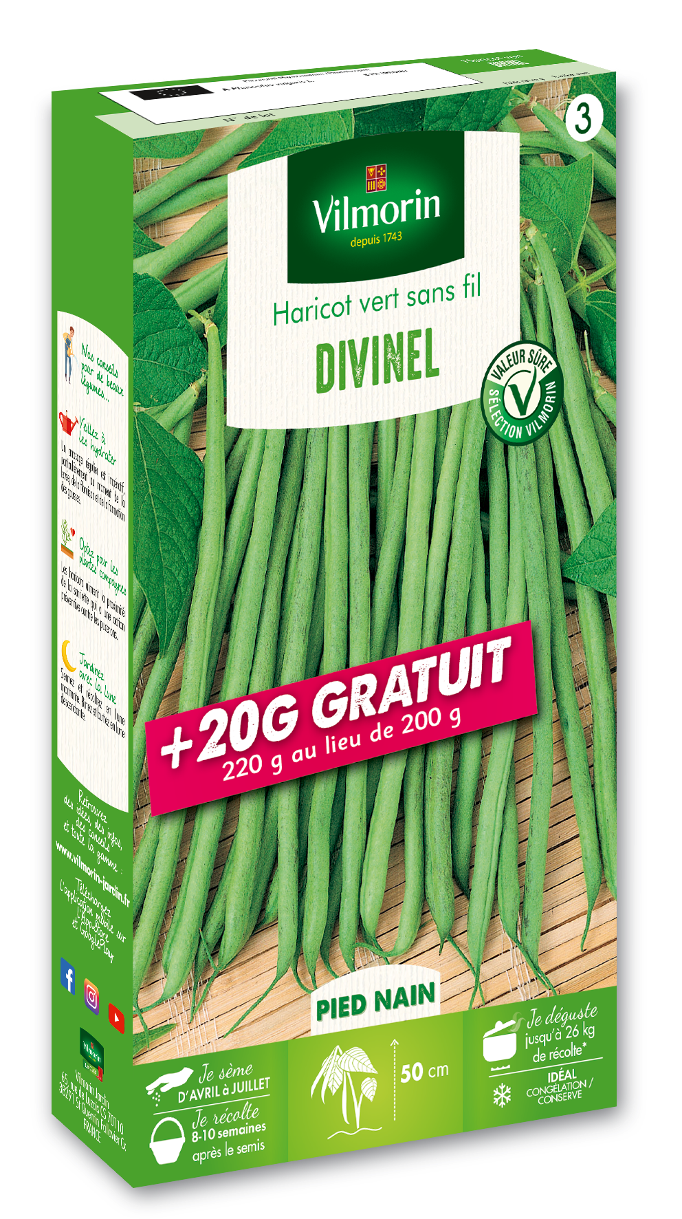 Vert
