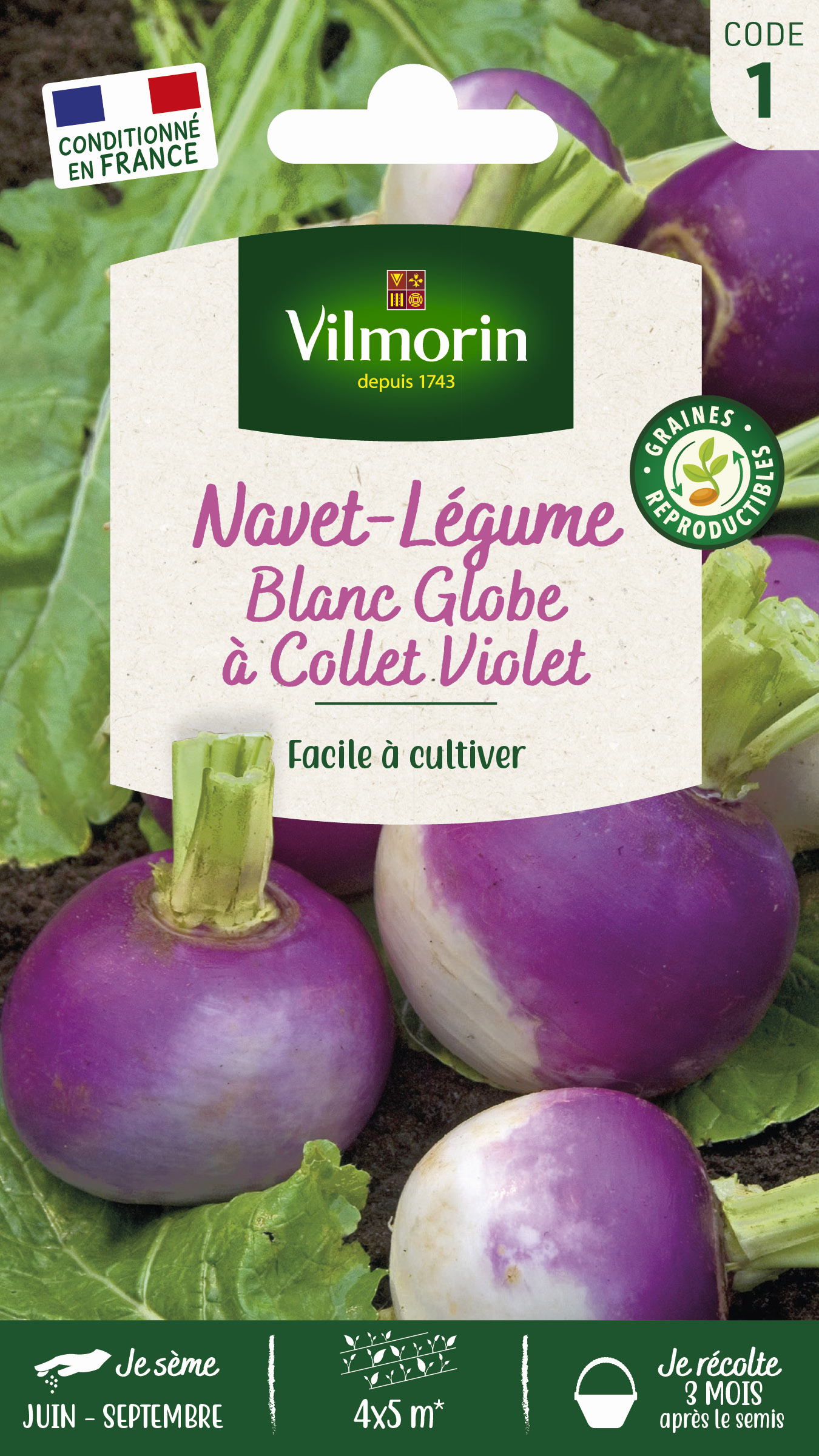 Blanc · Violet